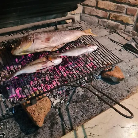 فندق Riviera